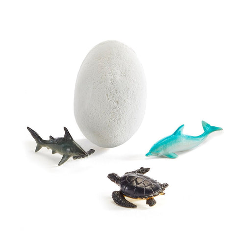 Sea Animal Fizzy Egg, Assorted - Lockwood Shop - Giftcraft