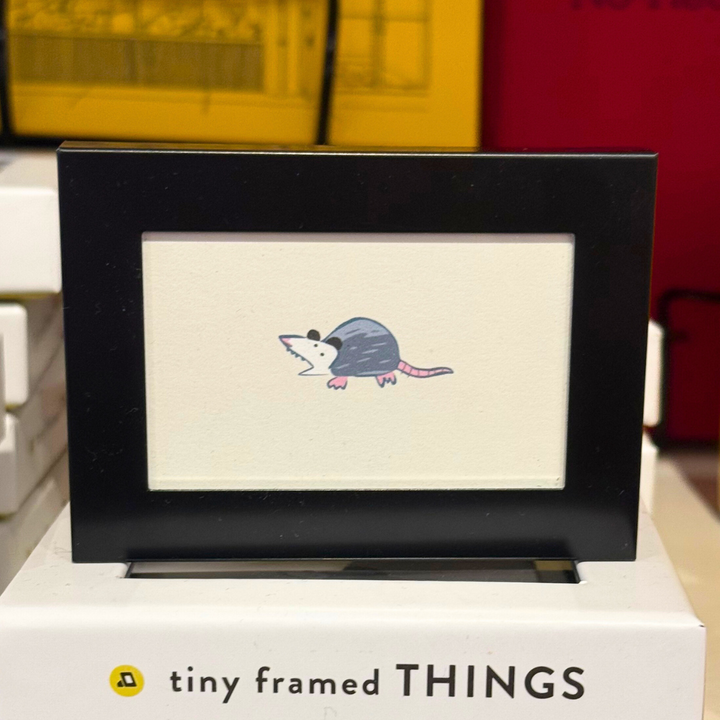 Tiny Framed Things