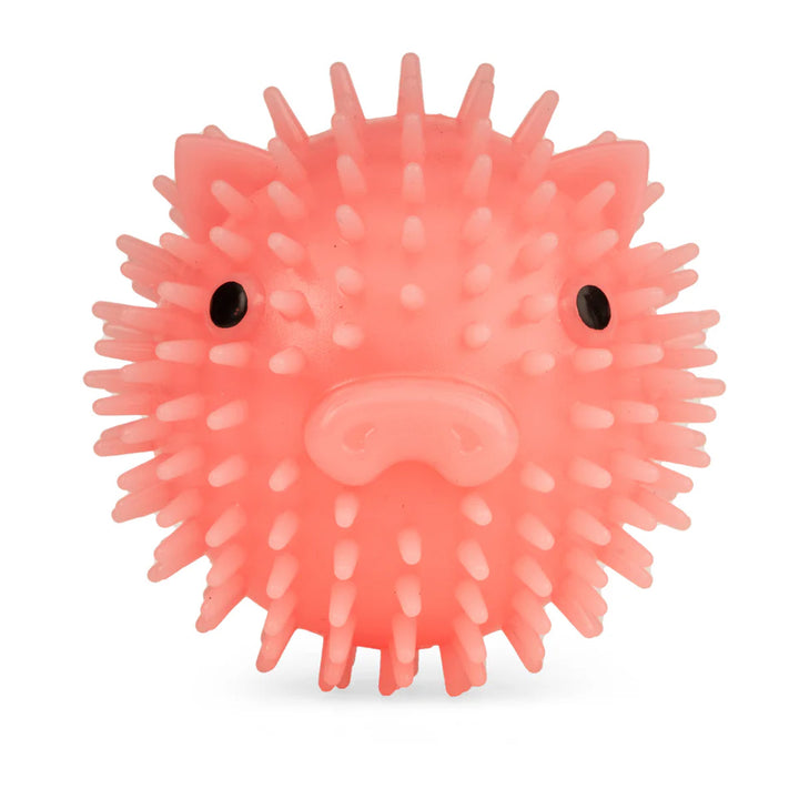 Piggy Dog Ball