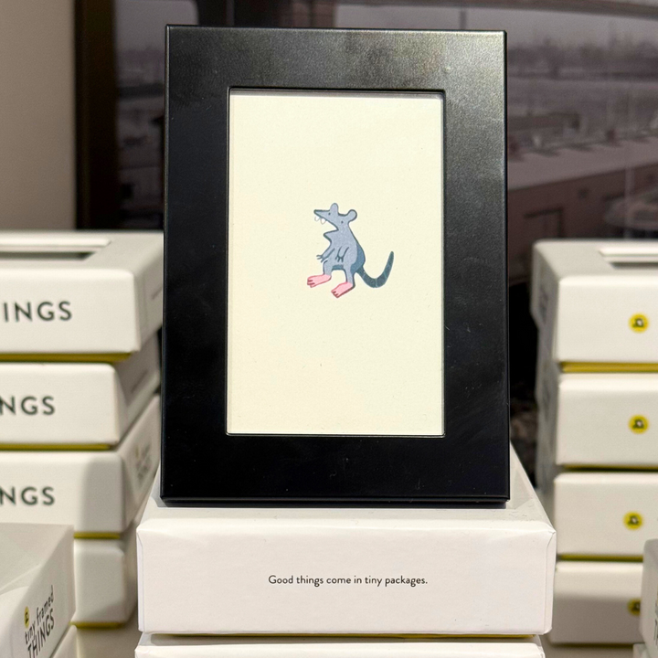 Tiny Framed Things