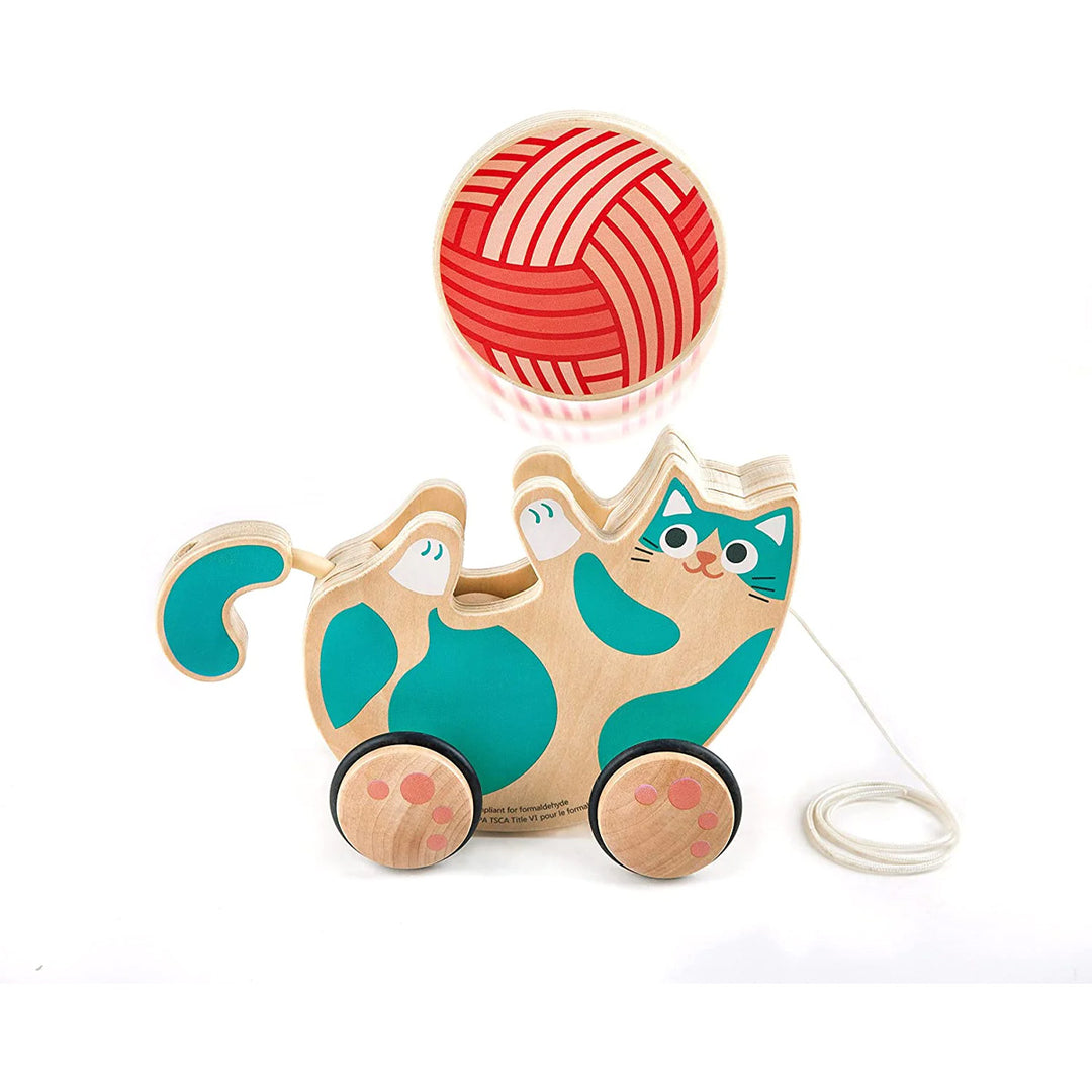 Roll &amp; Rattle Kitten