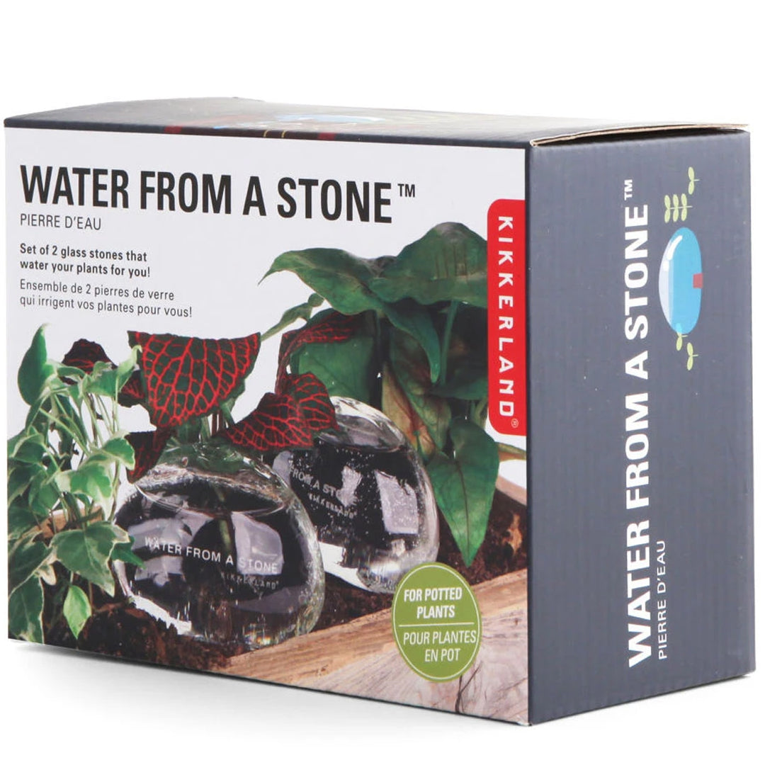 Water From A Stone