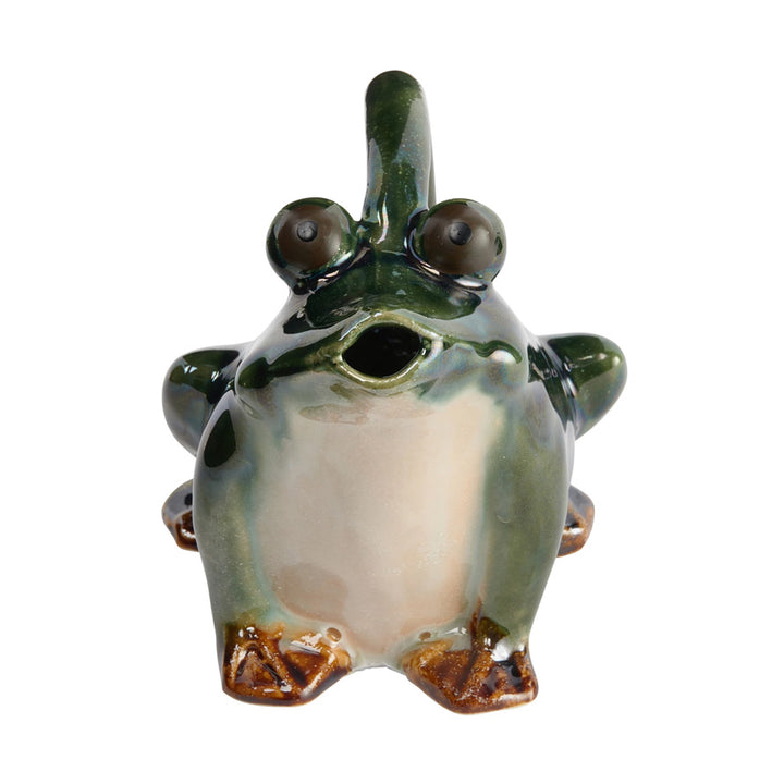 32 oz. Stoneware Frog Watering Pitcher, Reactive Glaze
