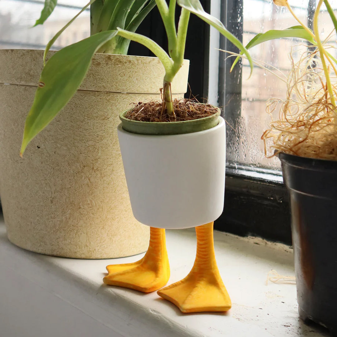 Duck Feet Planter