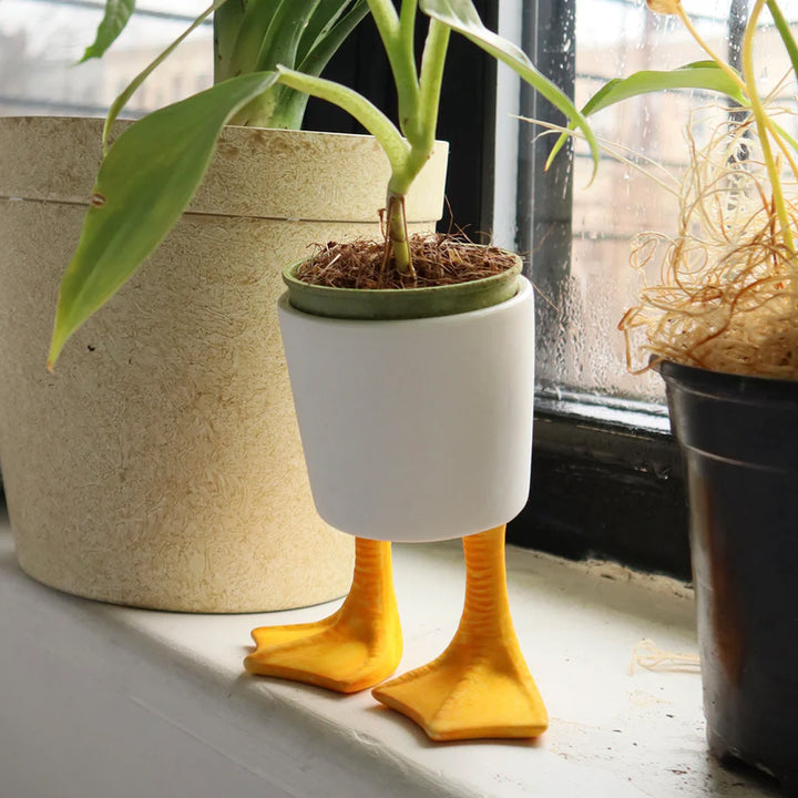Duck Feet Planter