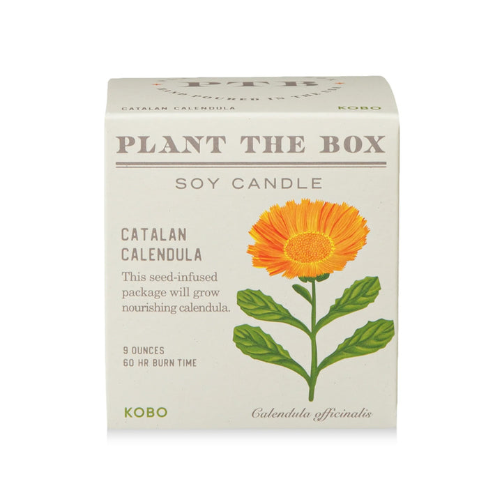 Catalan Calendula Soy Candle