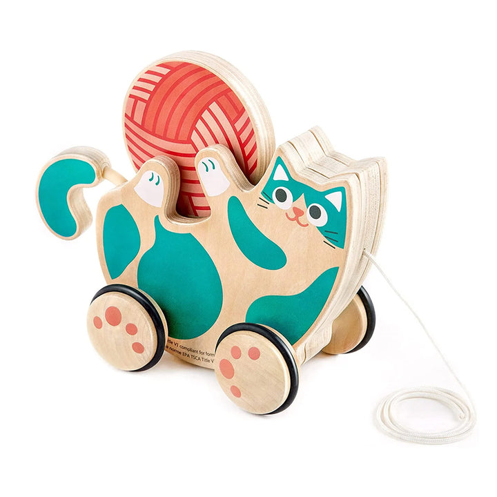 Roll &amp; Rattle Kitten