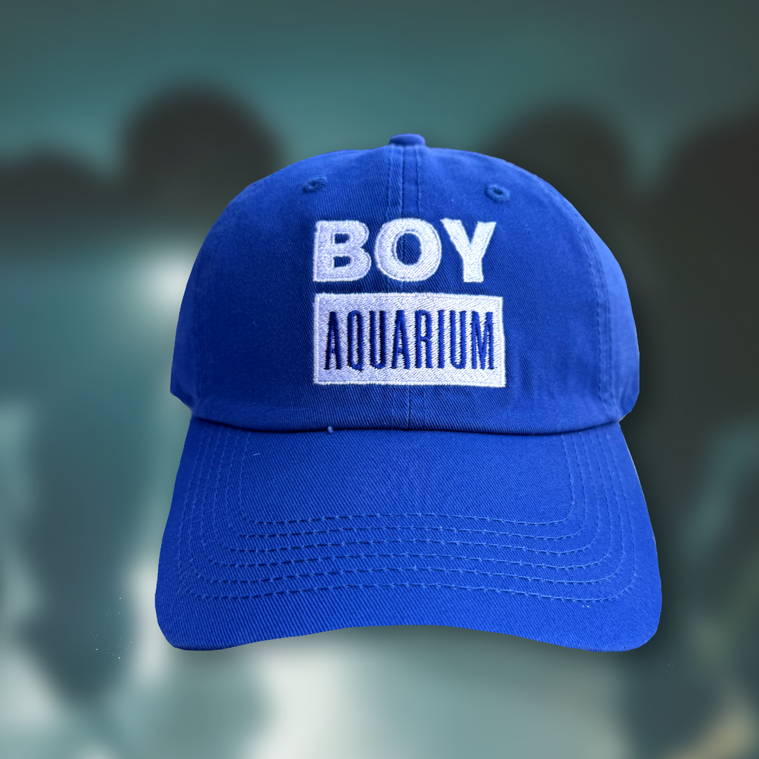Boy Aquarium Hat