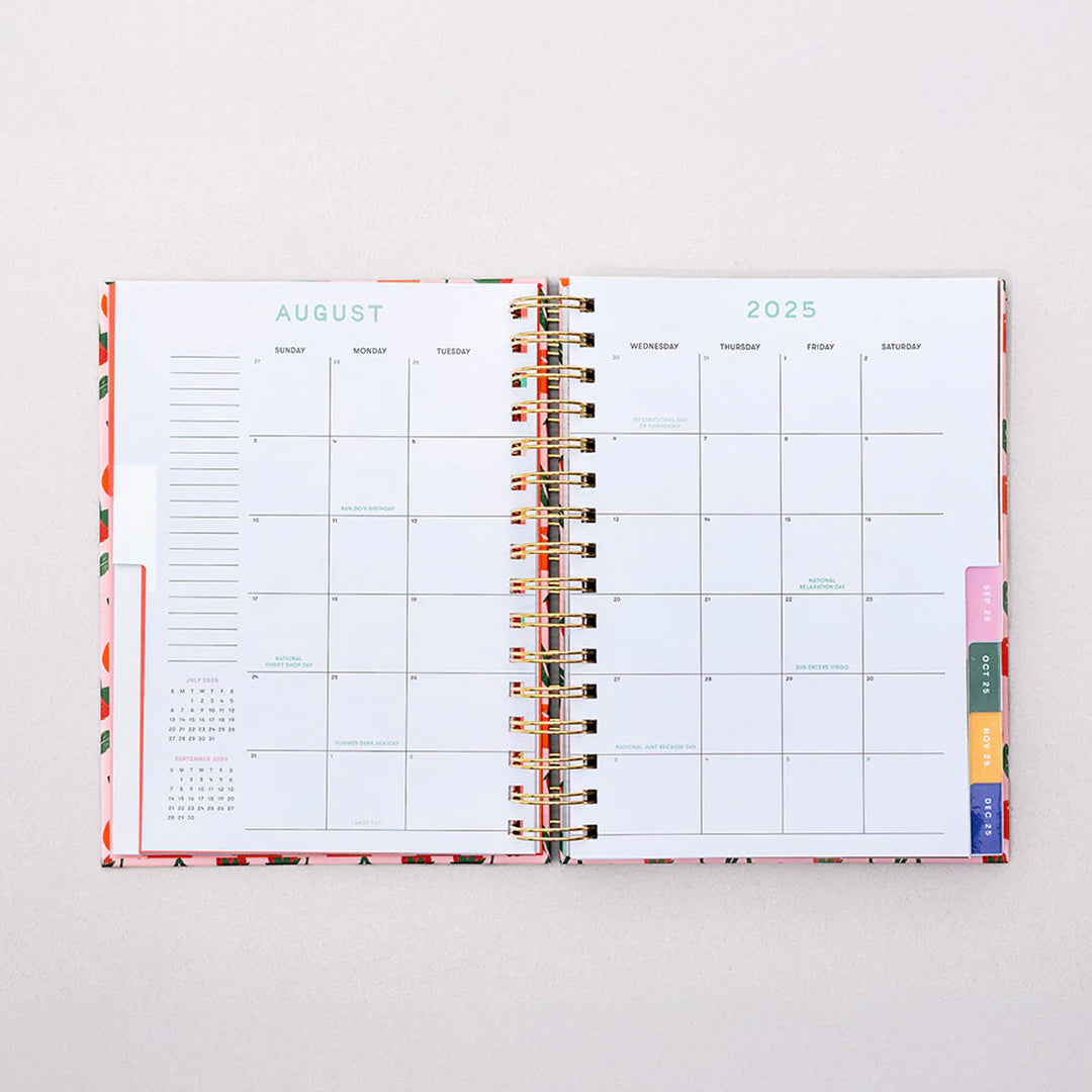 2025-2026 Connect the Dots Med Planner