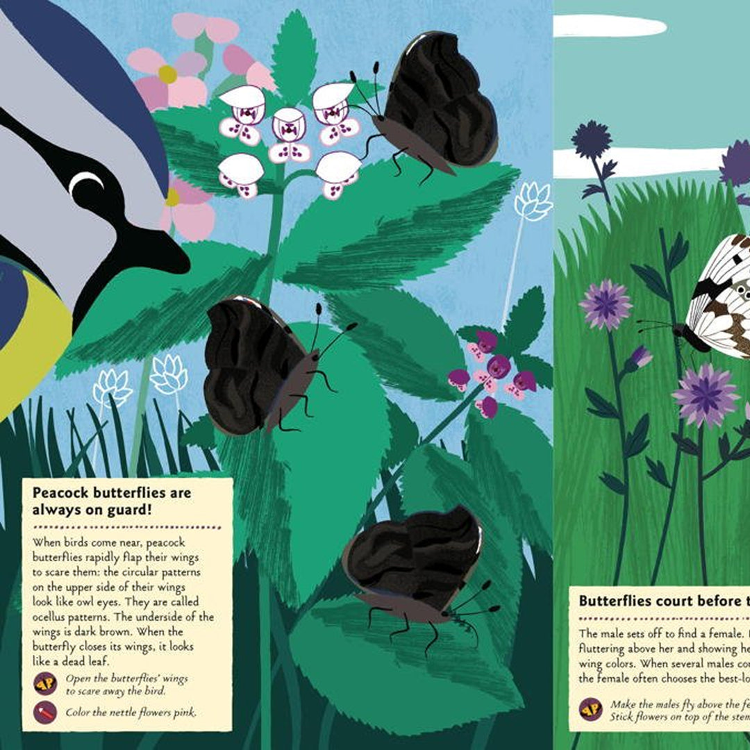 My Nature Sticker Activity Book