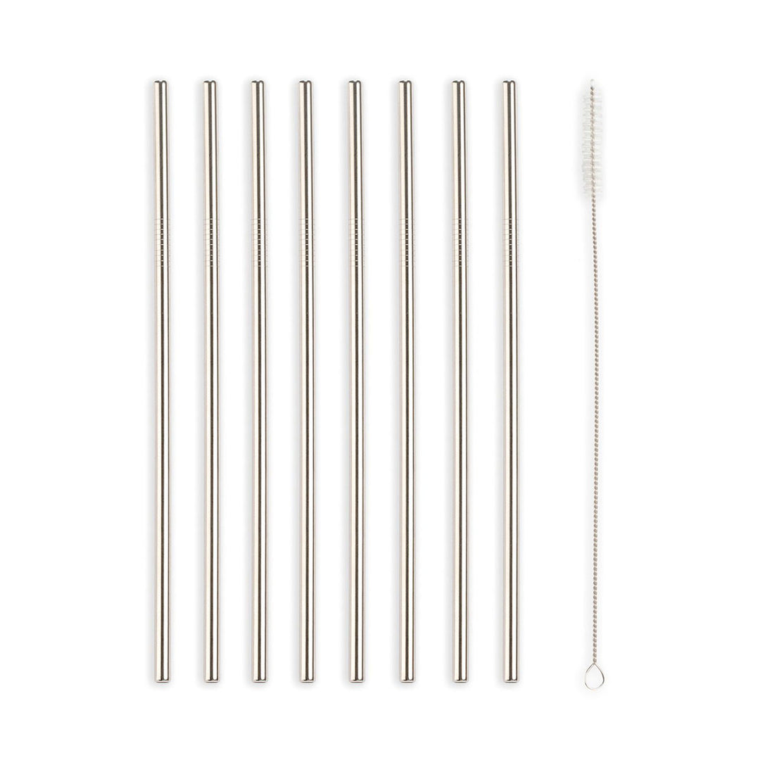 Stainless Steel Straws S/10