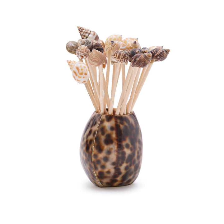 Tiger Cowrie Shell w/20 Asst Sea Shell Picks