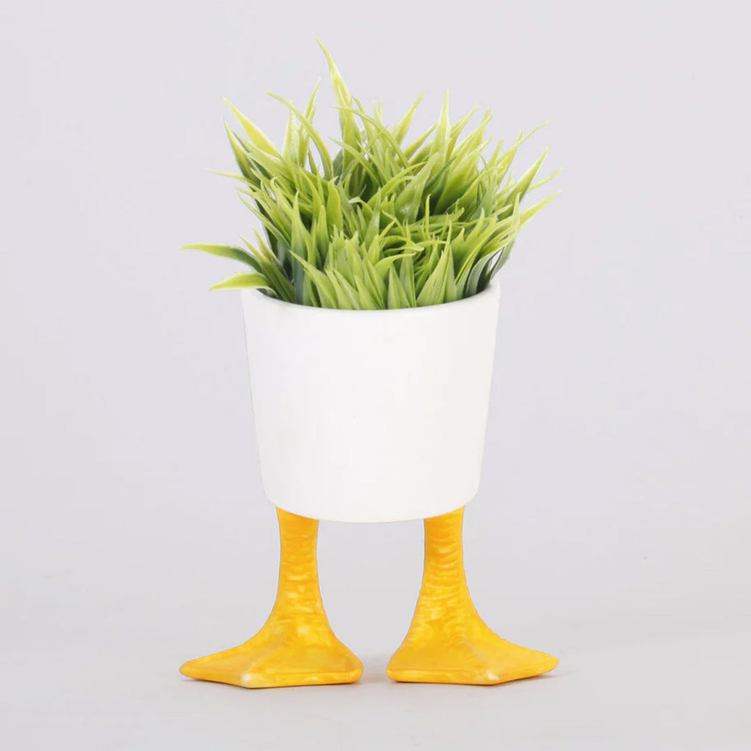 Duck Feet Planter