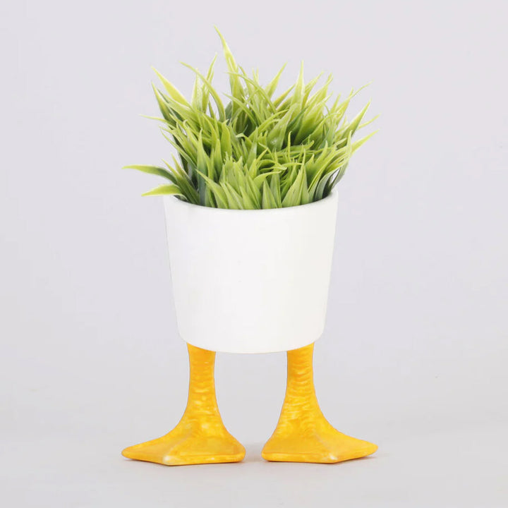 Duck Feet Planter