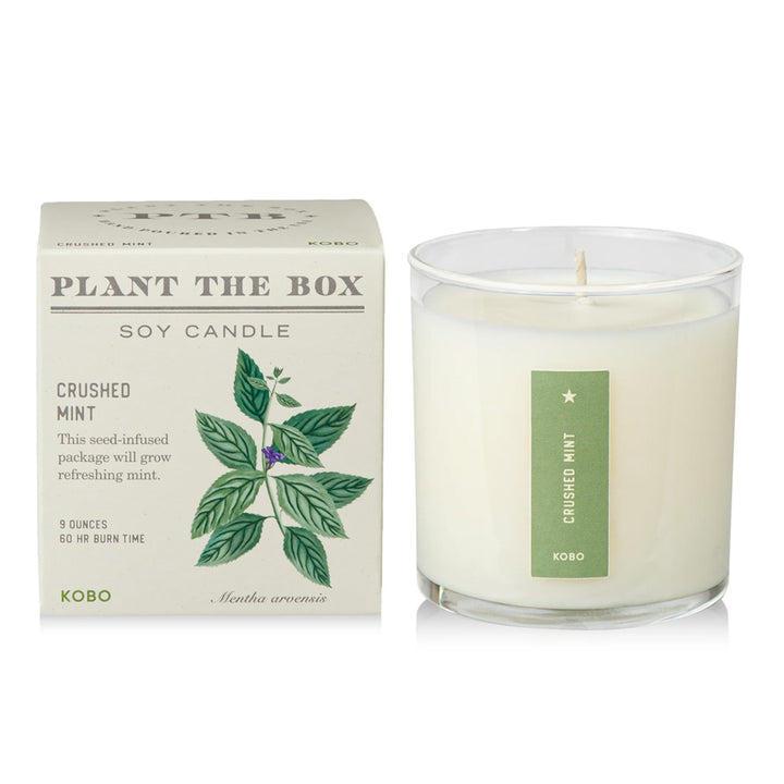 Crushed Mint Soy Candle