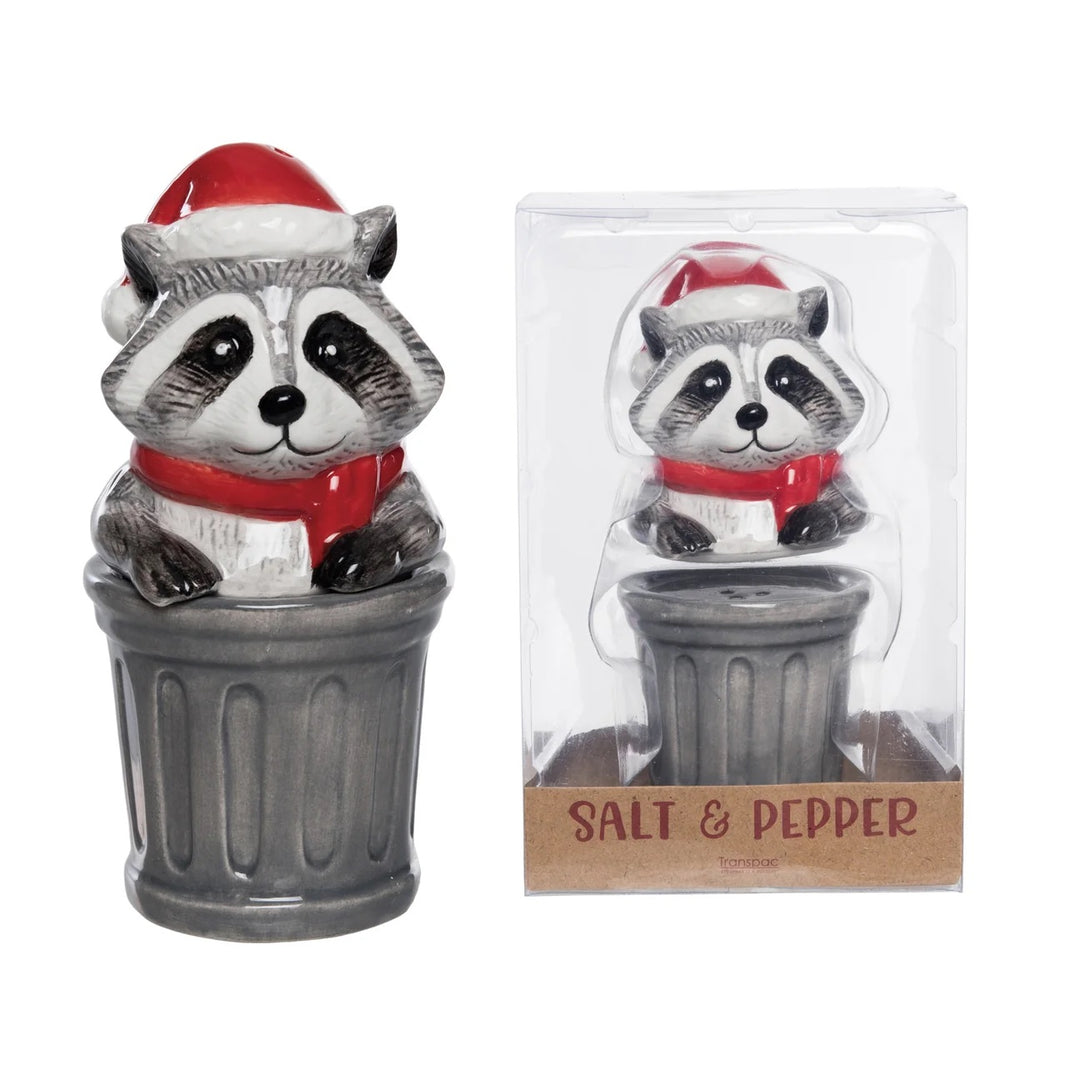 Raccoon salt and pepper shaker set with packaging on a white background