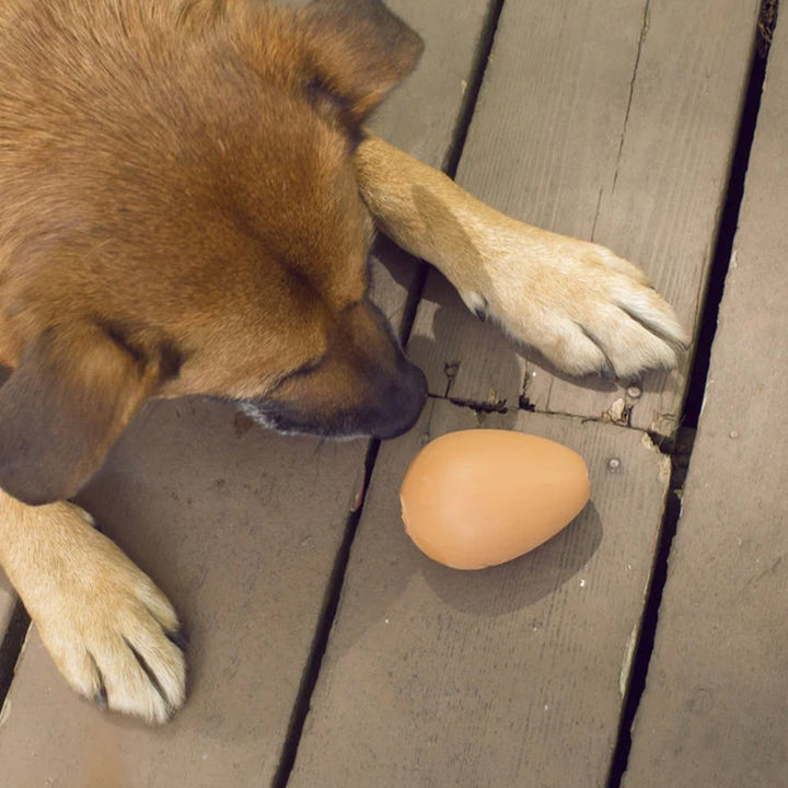 Bouncy Egg Treat Ball
