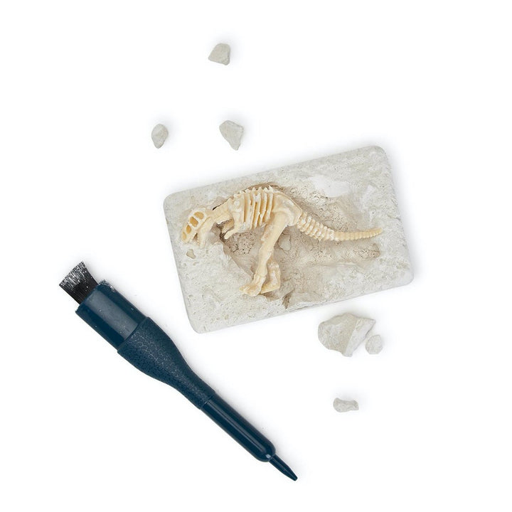 Big Dig Archeological Adventure Excavating Kit in Gift Box - Lockwood Shop - Twos Company