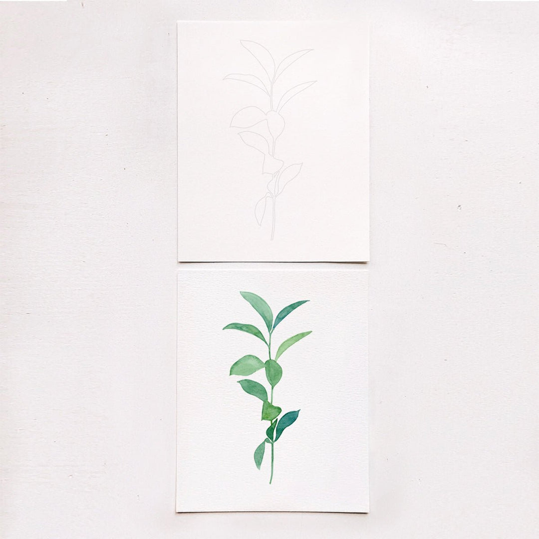Botanical Watercolor Kit - Lockwood Shop - Tram Colwin Art