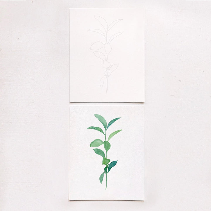 Botanical Watercolor Kit - Lockwood Shop - Tram Colwin Art