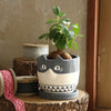 Calico Cat Cement Planter - Lockwood Shop - Time Concept