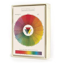 Color Wheel - Box of 8 Assorted Cards - Lockwood Shop - Cavallini Papers and Co