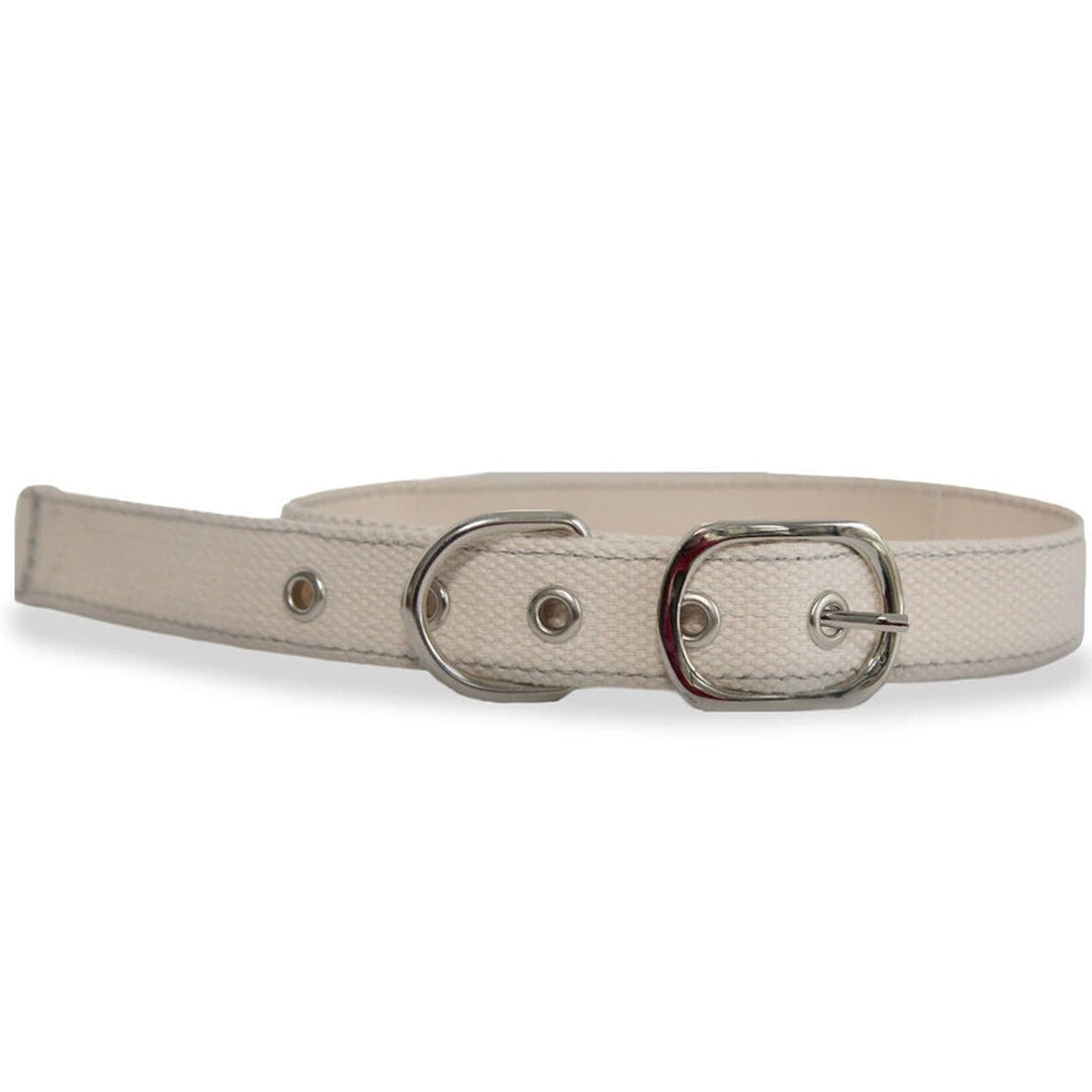 DIY Cross Stitch Dog Collar - Lockwood Shop - Kikkerland