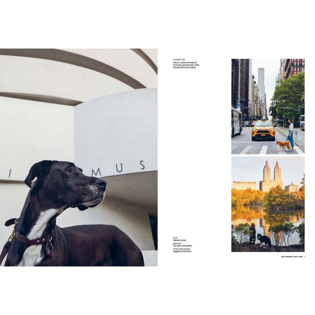 Dog Friendly New York - Lockwood Shop - National Book Network