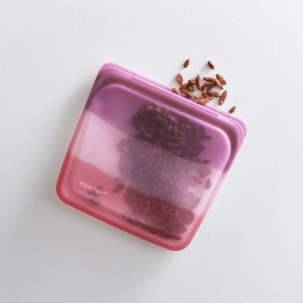 Endangered Seas Sandwich Stasher Bag — Lockwood Shop