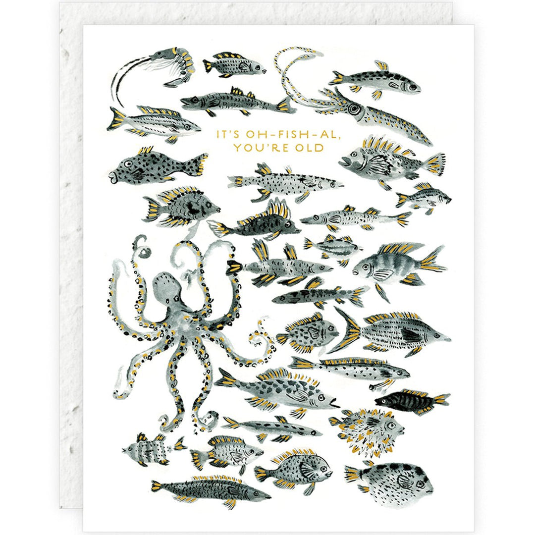 Fish Plantable Birthday Card - Lockwood Shop - Seedlings