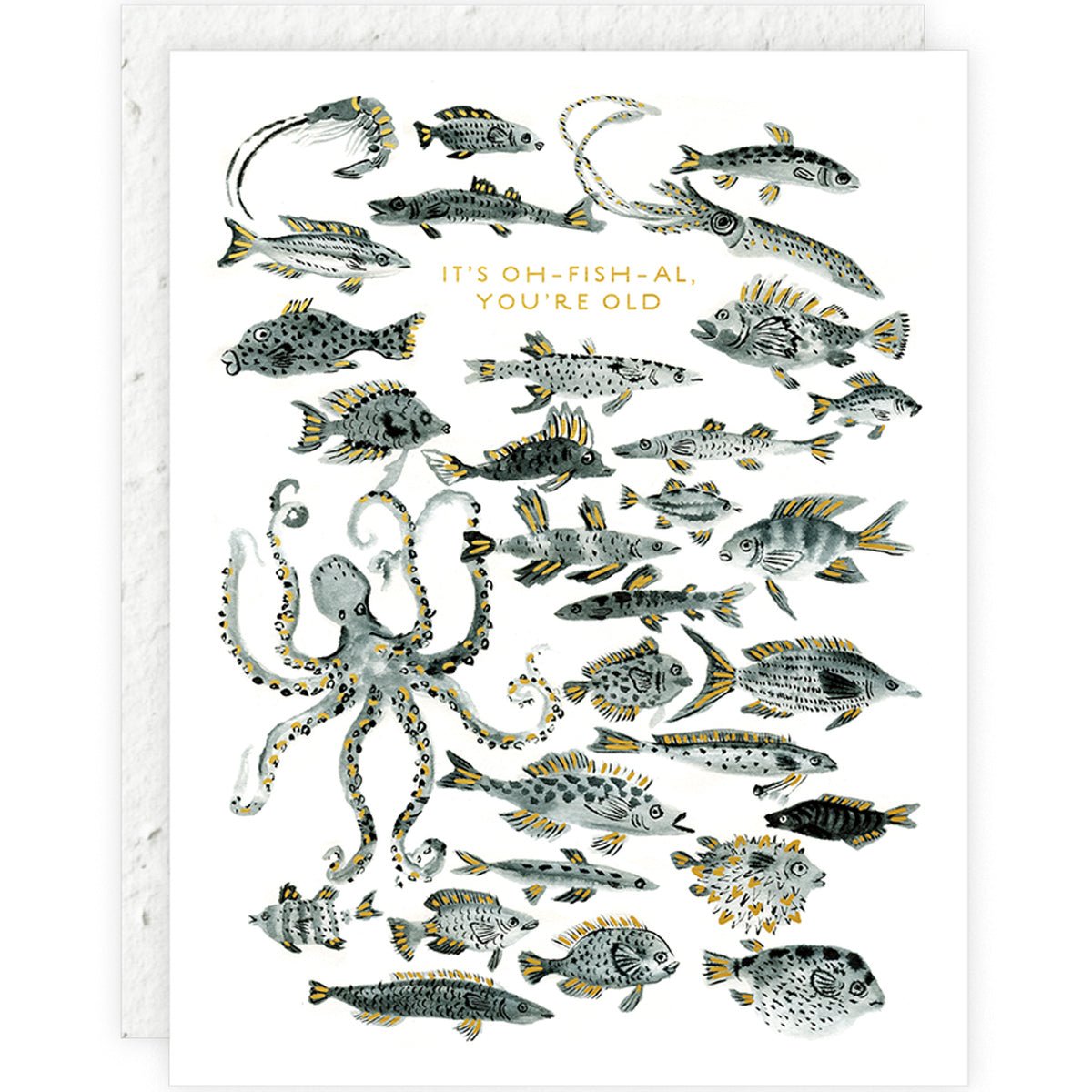 Fish Plantable Birthday Card - Lockwood Shop - Seedlings