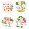 Floral Weeks Pregnancy Stickers - Lockwood Shop - 9th Letter Press