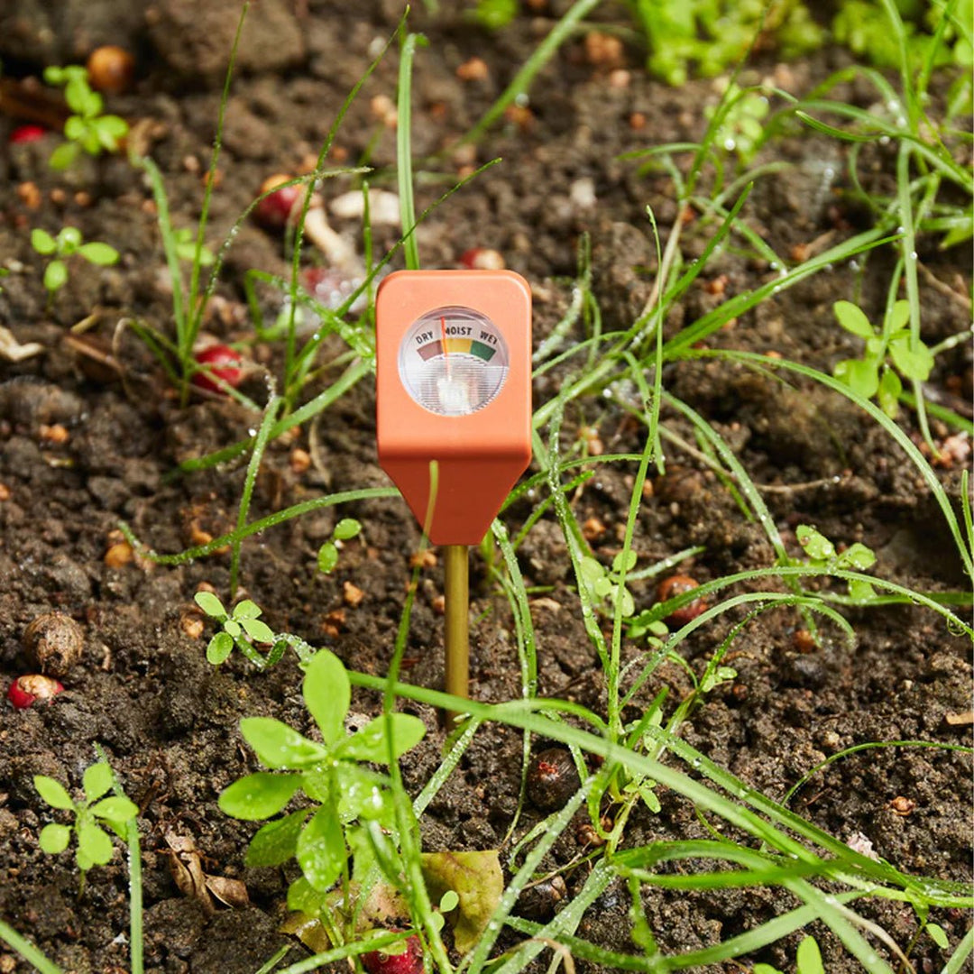 Garden Hydrometer - Lockwood Shop - Kikkerland
