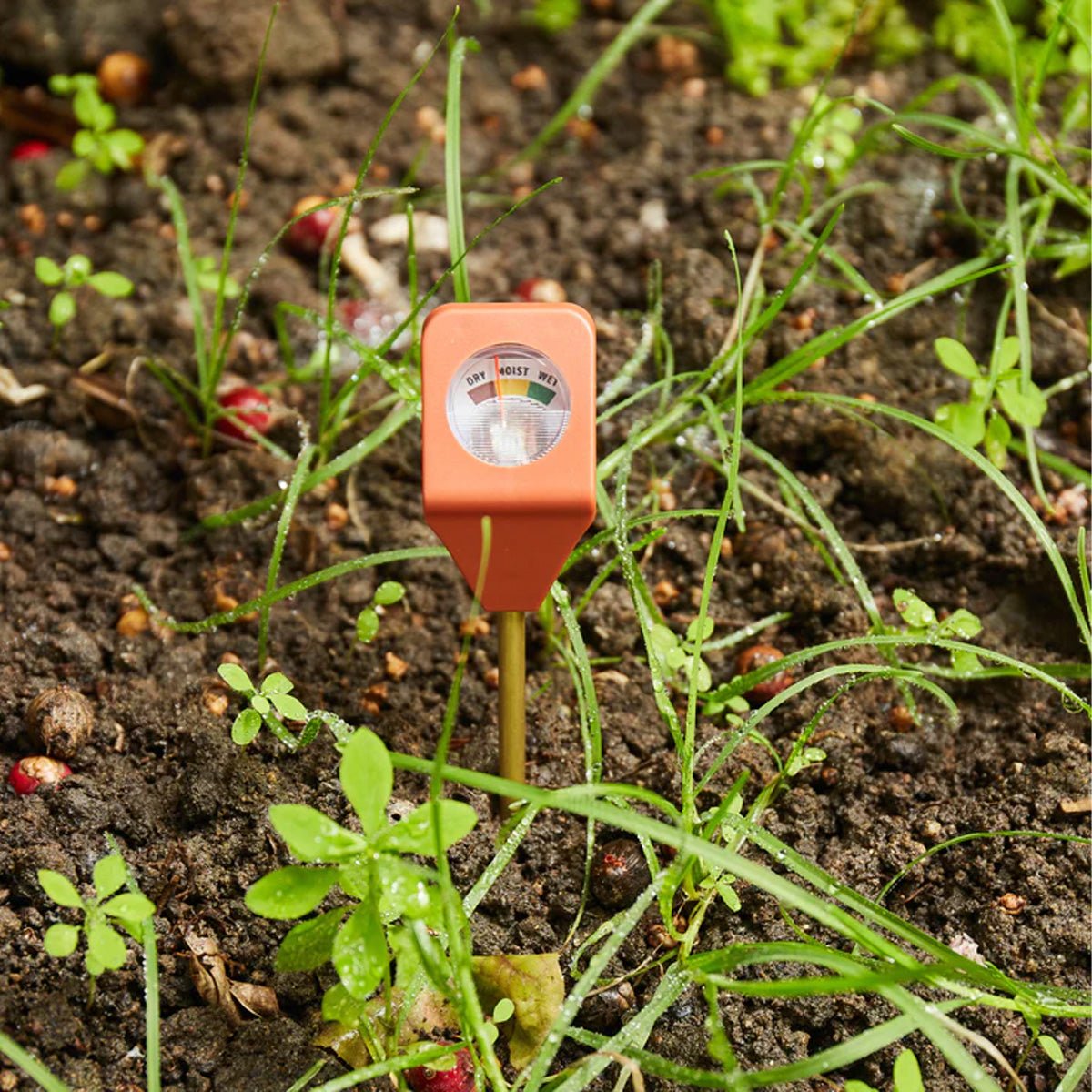 Garden Hydrometer - Lockwood Shop - Kikkerland