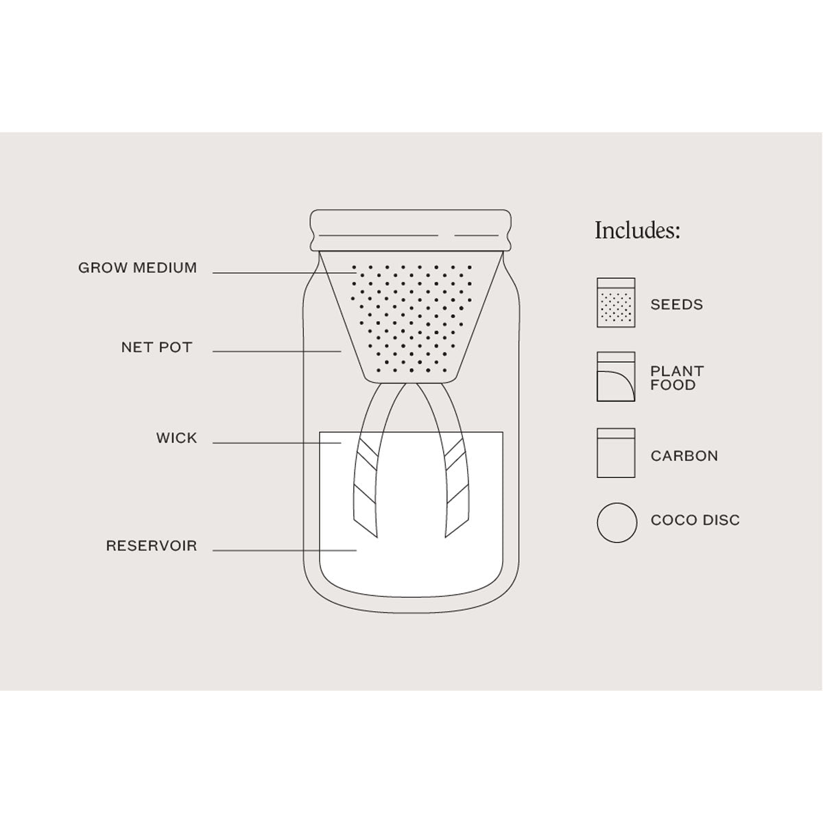 Garden Mason Jar - Basil - Lockwood Shop - Modern Sprout