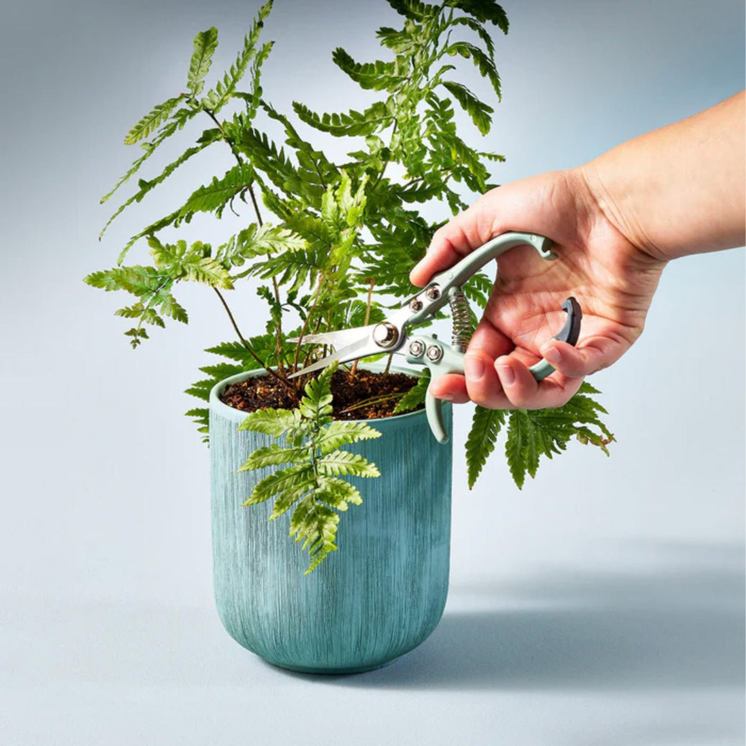 Garden Pruners - Lockwood Shop - Modern Sprout