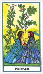 Herbal US Tarot Deck - Lockwood Shop - US Games Systems, Inc