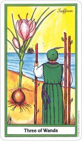 Herbal US Tarot Deck - Lockwood Shop - US Games Systems, Inc