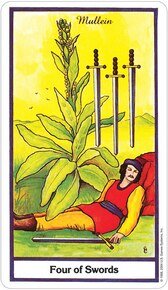 Herbal US Tarot Deck - Lockwood Shop - US Games Systems, Inc