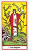 Herbal US Tarot Deck - Lockwood Shop - US Games Systems, Inc