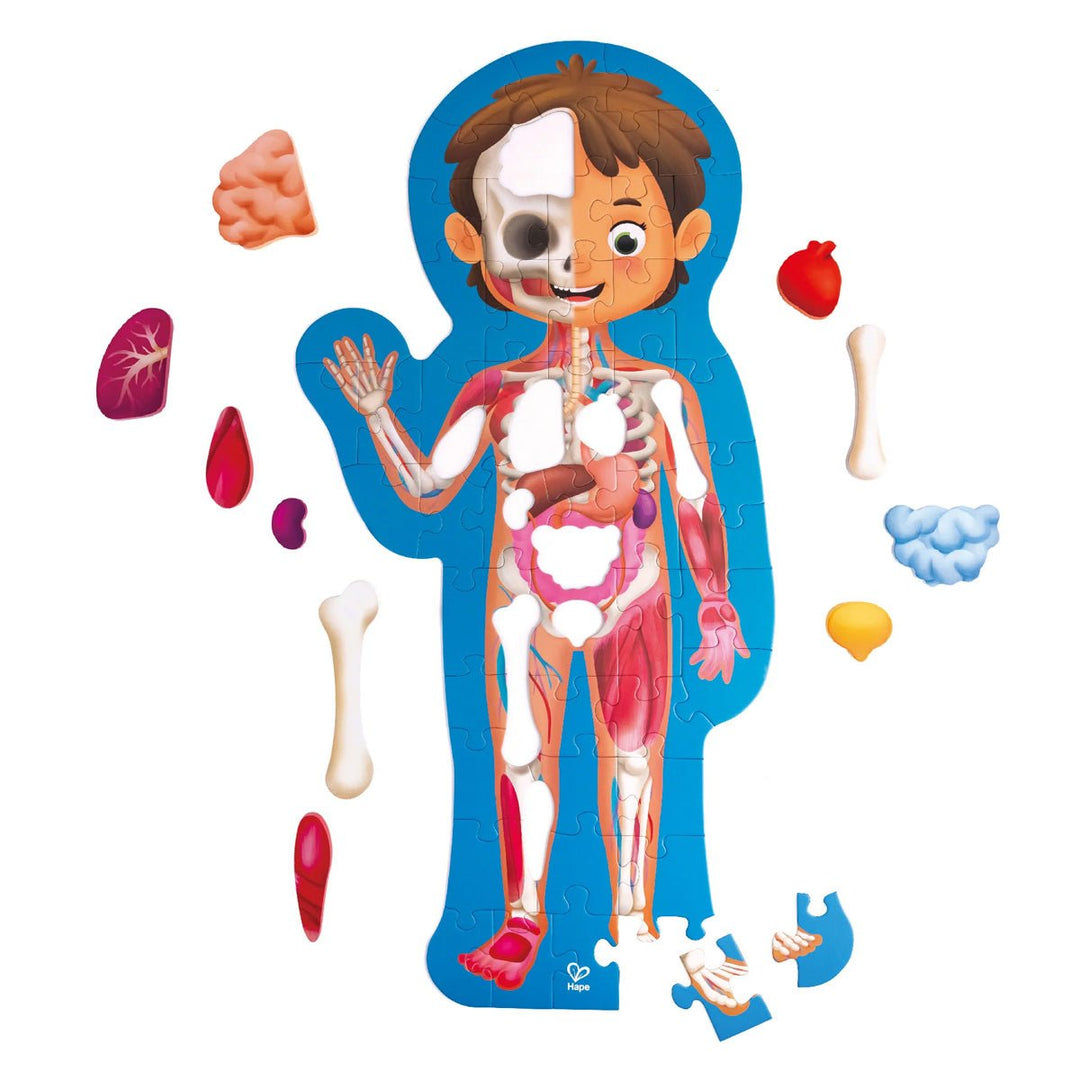 Human Body Puzzle - Lockwood Shop - Hape
