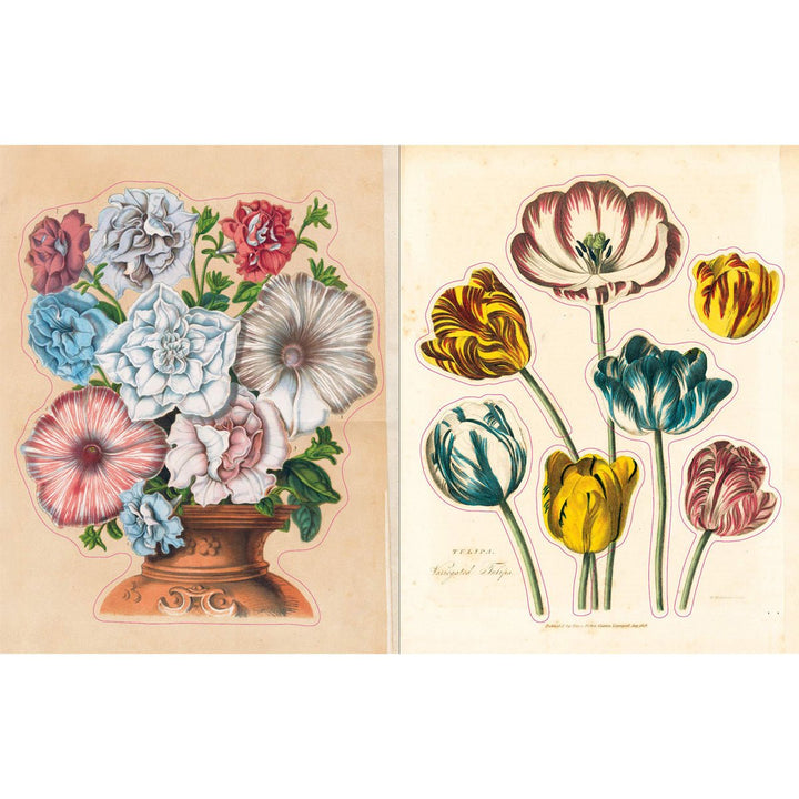 John Derian Paper Goods: Sticker Book - Lockwood Shop - Workman Publishing