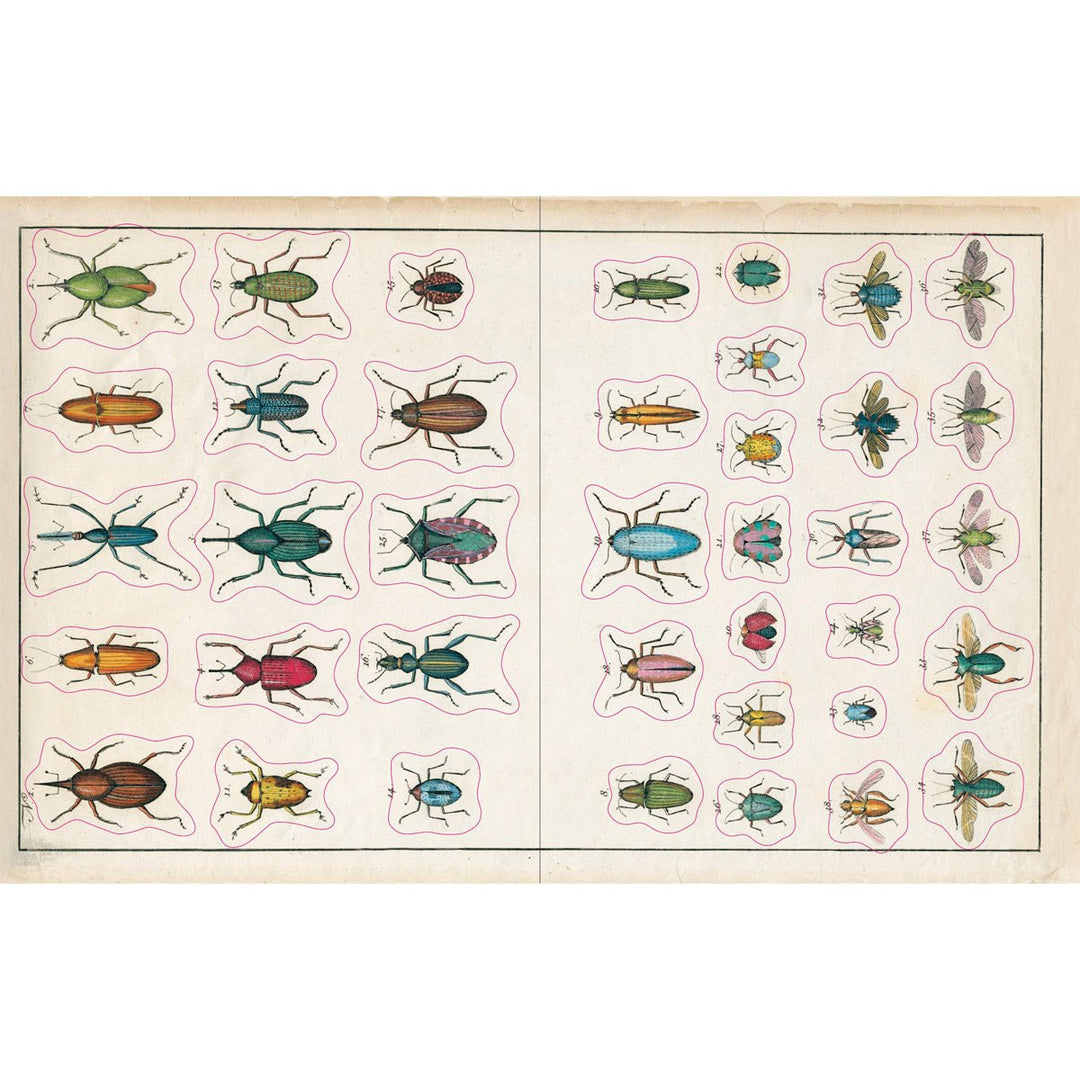 John Derian Paper Goods: Sticker Book - Lockwood Shop - Workman Publishing