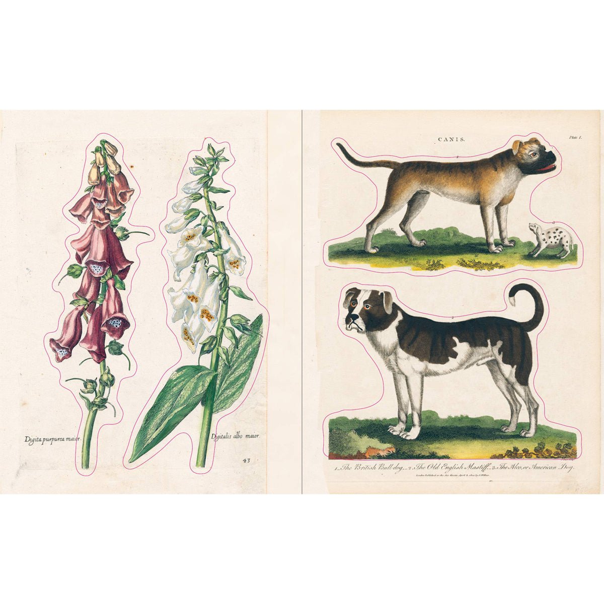 John Derian Paper Goods: Sticker Book - Lockwood Shop - Workman Publishing