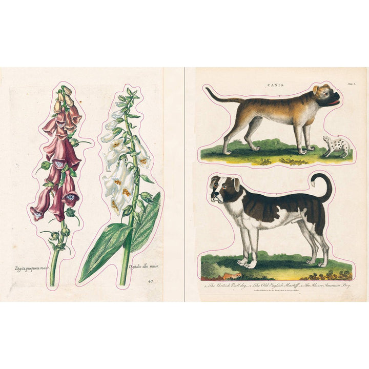 John Derian Paper Goods: Sticker Book - Lockwood Shop - Workman Publishing