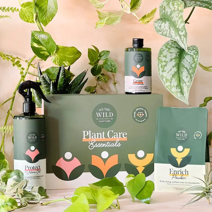 Let It Grow Essentials Kit - Lockwood Shop - We the Wild