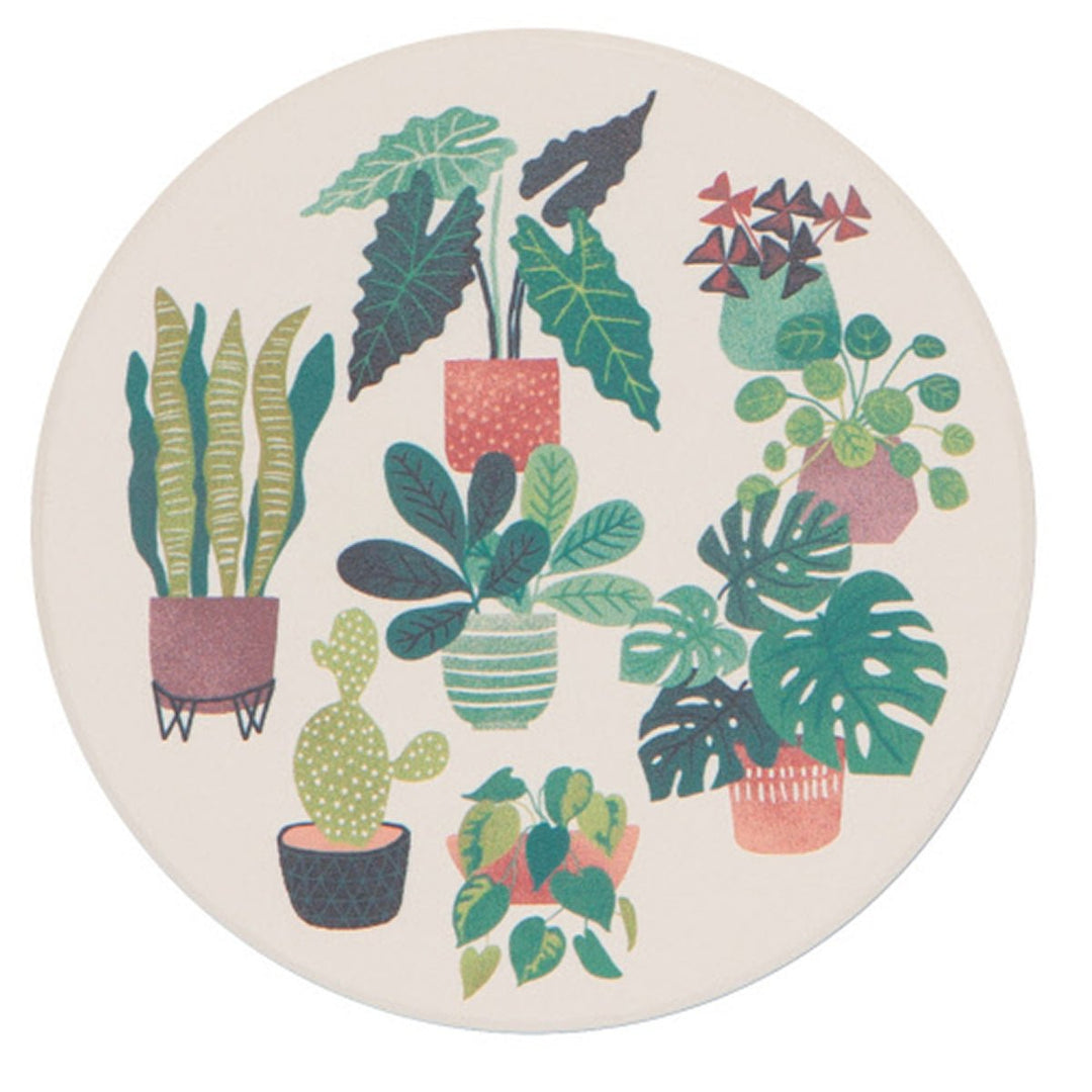 Let it Grow Single Coaster - Lockwood Shop - Now Designs