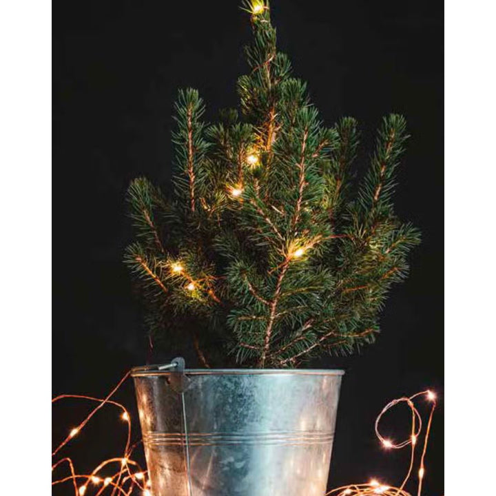 Lumin Essence Copper Wire Mini Lights - Lockwood Shop - DM Merchandising