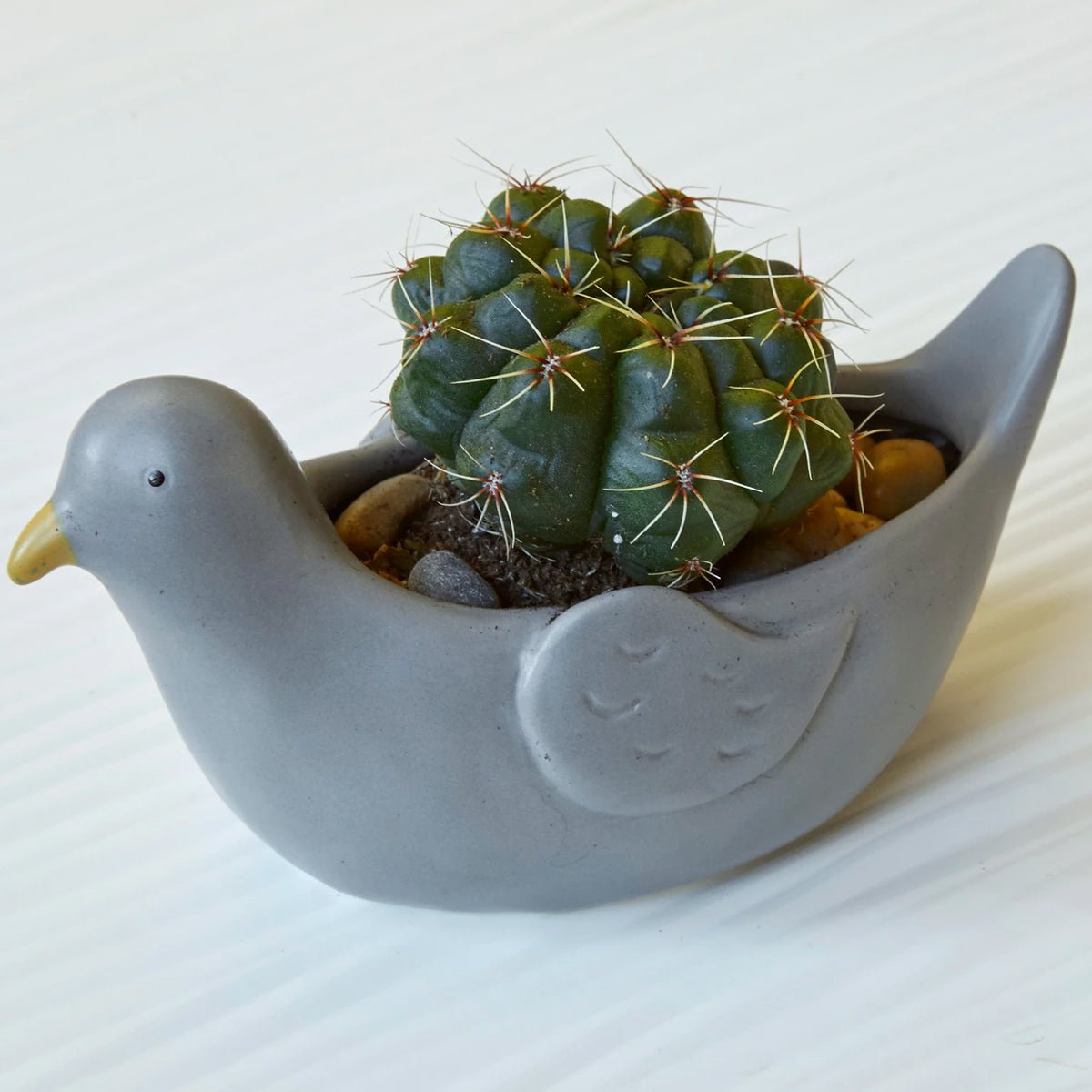 Pepper the Pigeon Planter - Lockwood Shop - Kikkerland