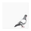 Pigeon Notepad - Lockwood Shop - Quick Brown Fox
